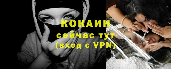 шишки Аркадак