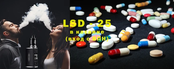 шишки Аркадак