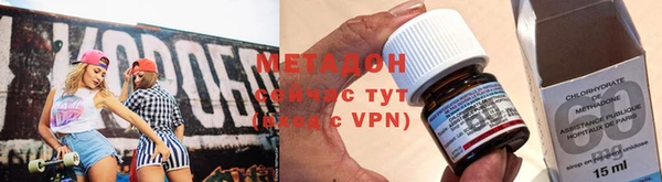 шишки Аркадак