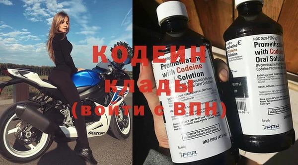 молекула духа Арсеньев