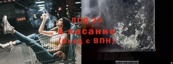 шишки Аркадак