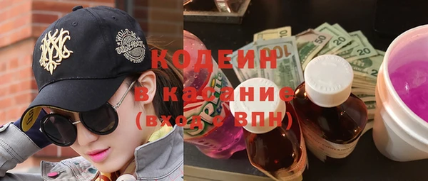 шишки Аркадак