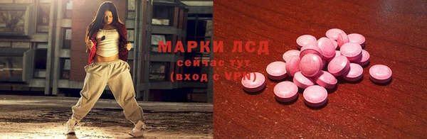 шишки Аркадак