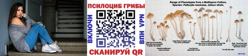 наркота  Порхов  Галлюциногенные грибы прущие грибы 
