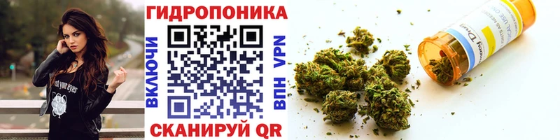 как найти закладки  Порхов  Бошки марихуана Ganja 